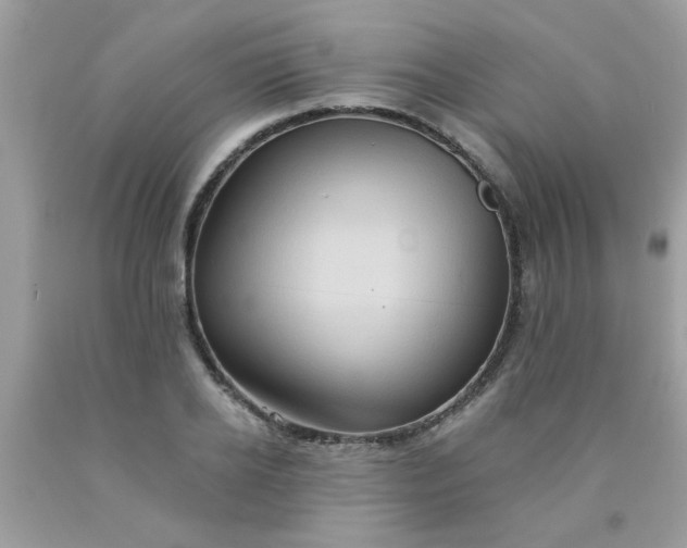 X0000090500934200707272358