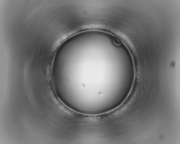 X0000090500937200707272358