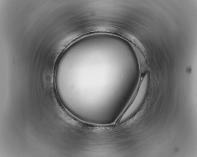 X0000090500938200707272358