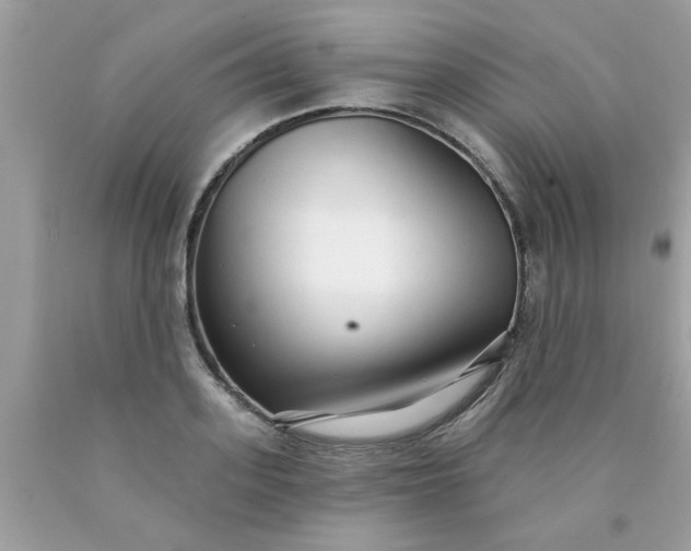 X0000090500939200707272358