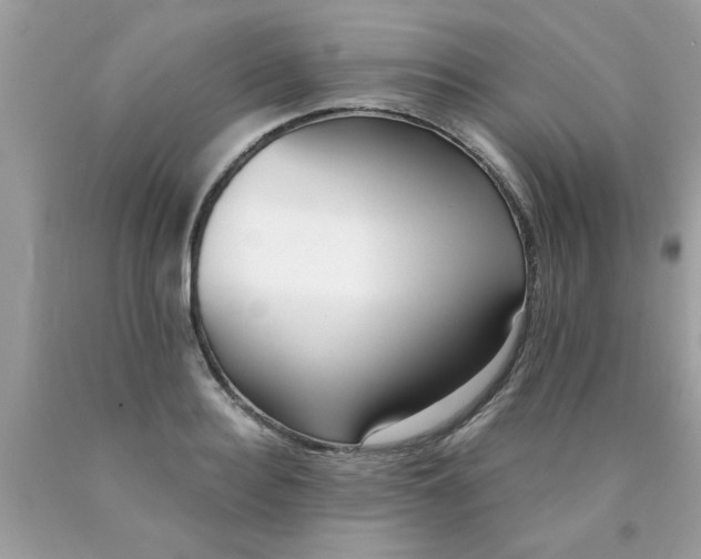 X0000090500940200707272358