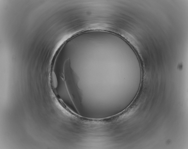 X0000090500941200707272358