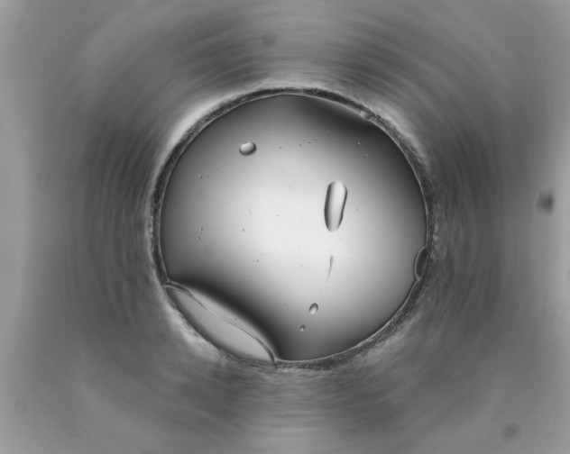 X0000090500942200707272358