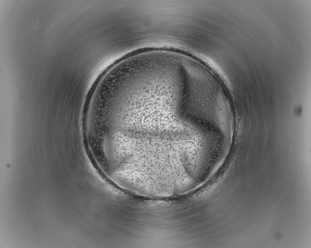 X0000090500943200707272358