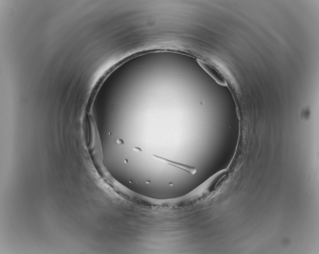 X0000090500944200707272358