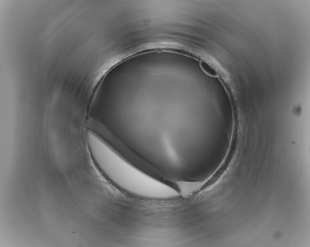 X0000090500945200707272358