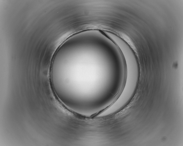 X0000090500946200707272358