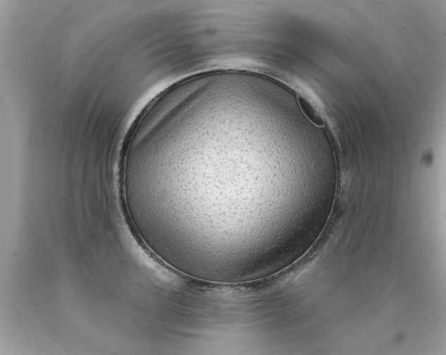 X0000090500947200707272358