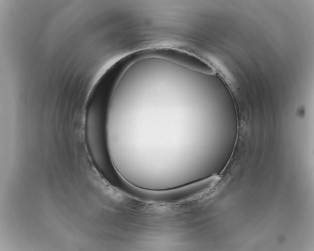 X0000090500948200707272358