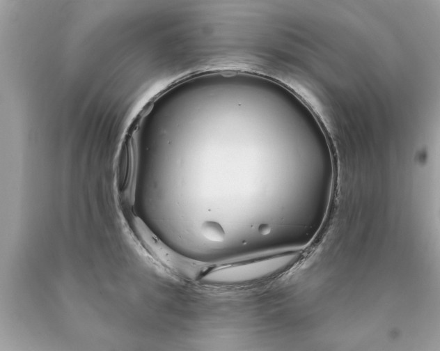 X0000090500949200707272358