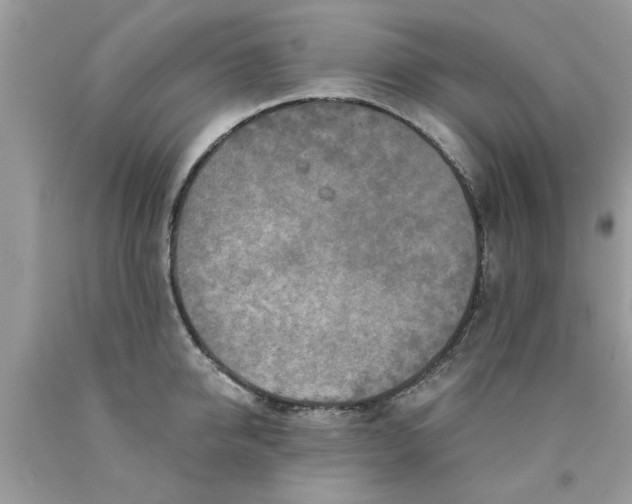 X0000090500950200707272358