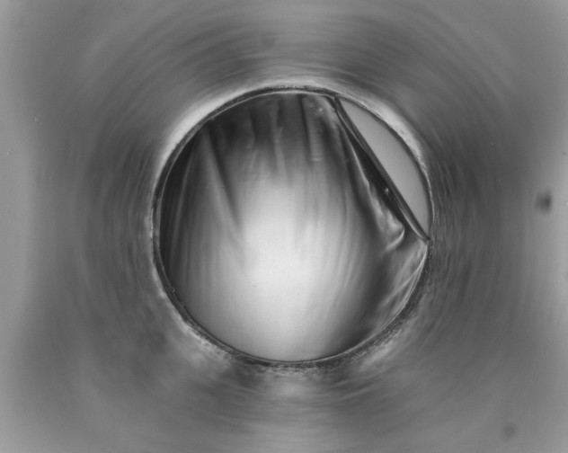 X0000090500951200707272358