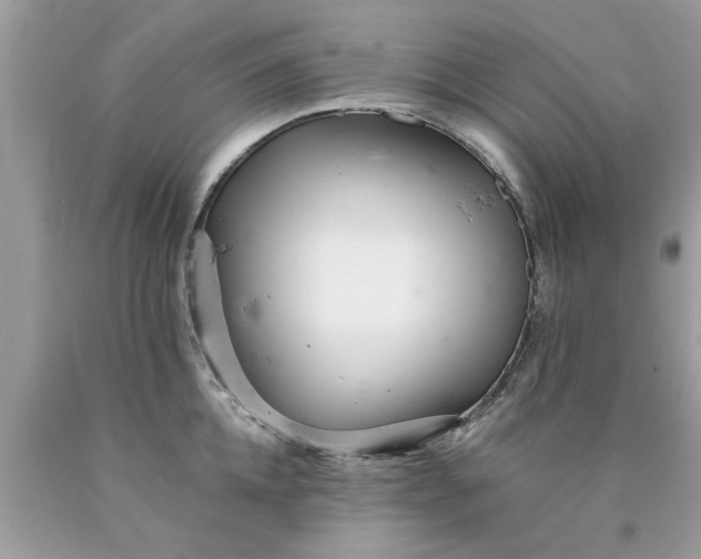 X0000090500952200707272358