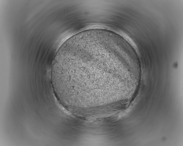 X0000090500953200707272359