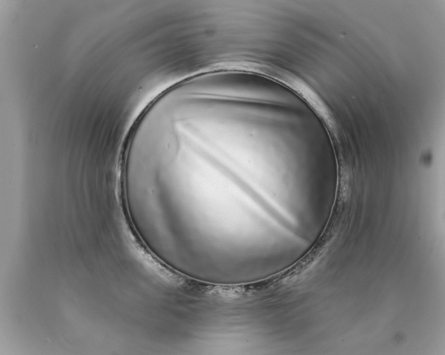 X0000090500955200707272359