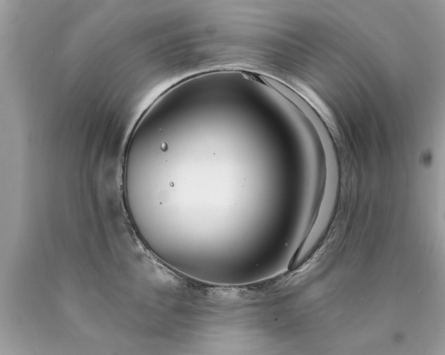 X0000090500956200707272359