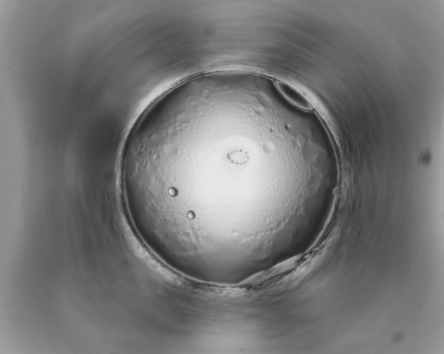 X0000090500957200707272359