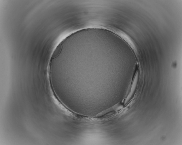 X0000090500958200707272359