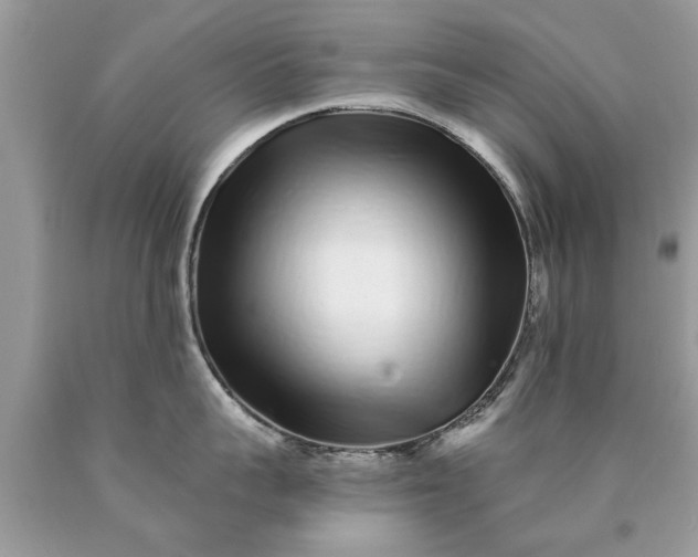 X0000090500959200707272359