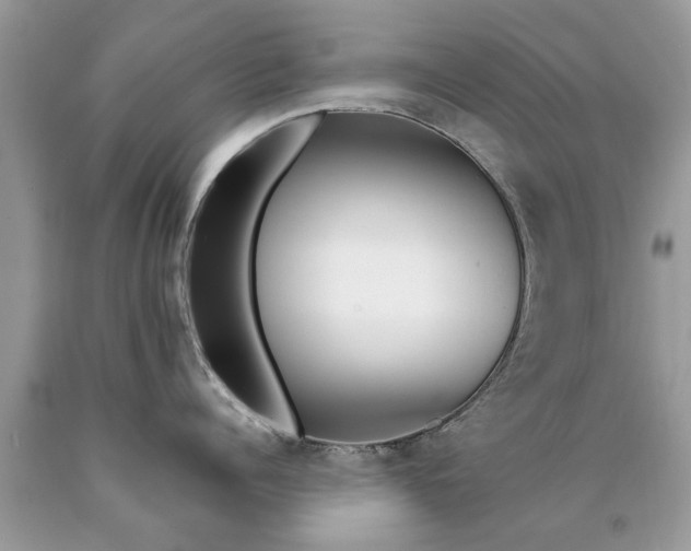 X0000090500960200707272359