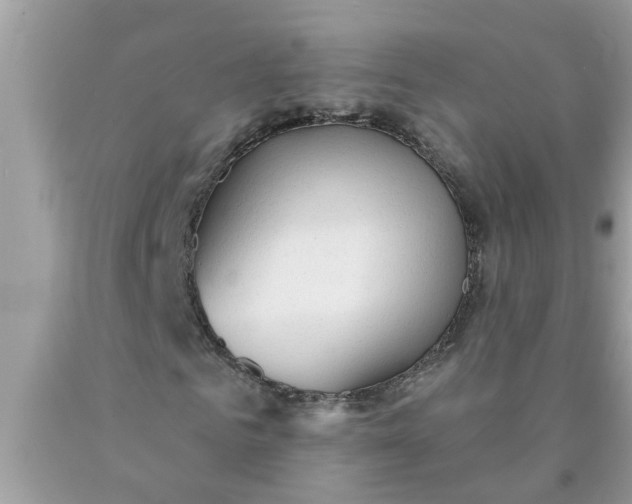 X0000090500961200707272358