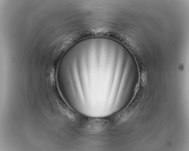 X0000090500963200707272358