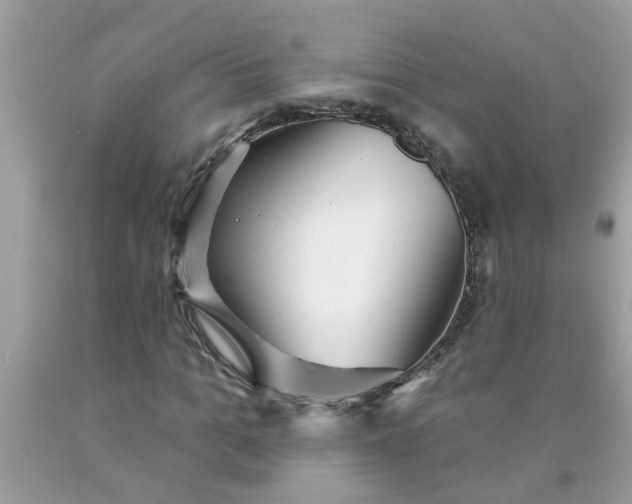 X0000090500965200707272358