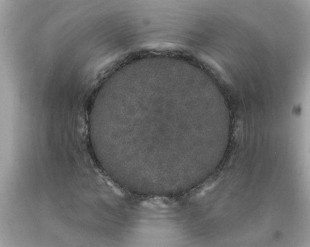 X0000090500966200707272358