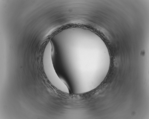 X0000090500968200707272358