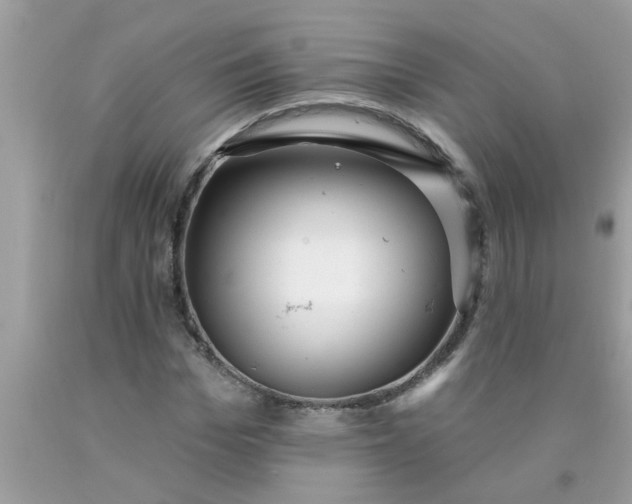 X0000090500969200707272358