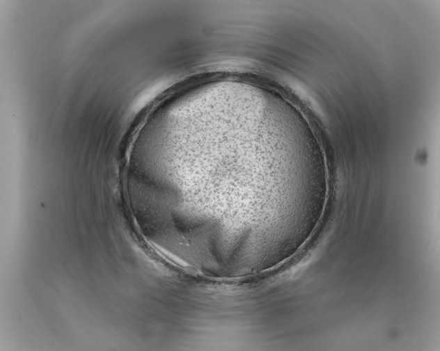 X0000090500970200707272358