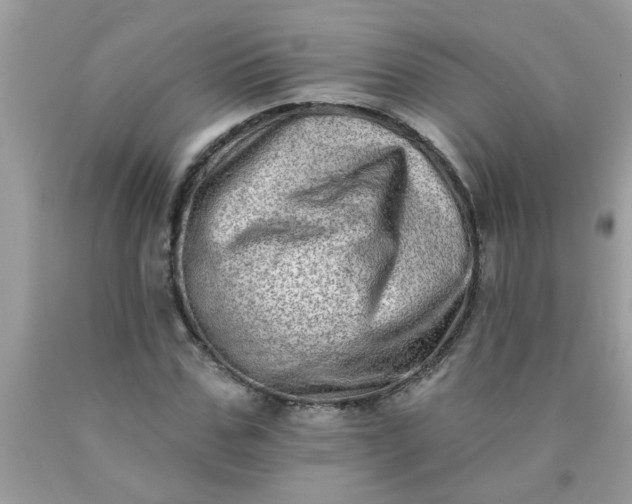 X0000090500971200707272358