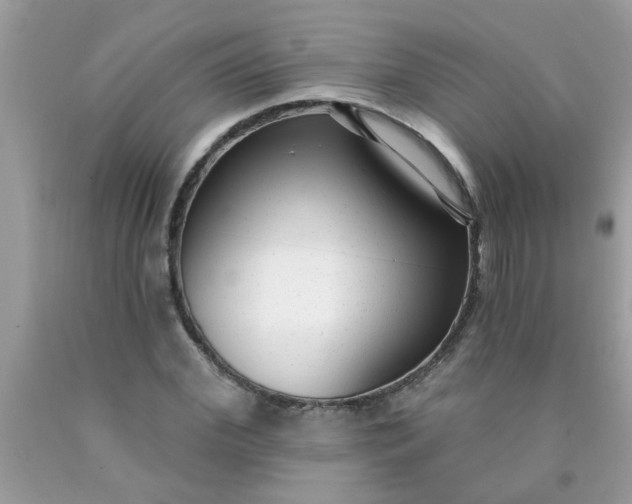 X0000090500972200707272358