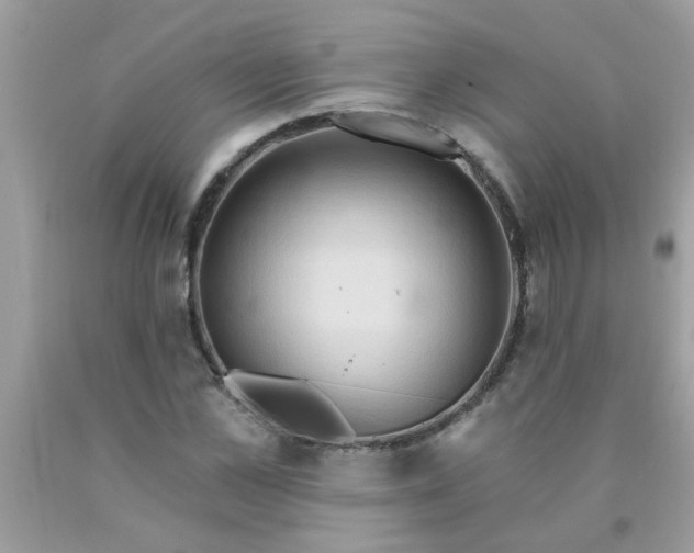 X0000090500973200707272358