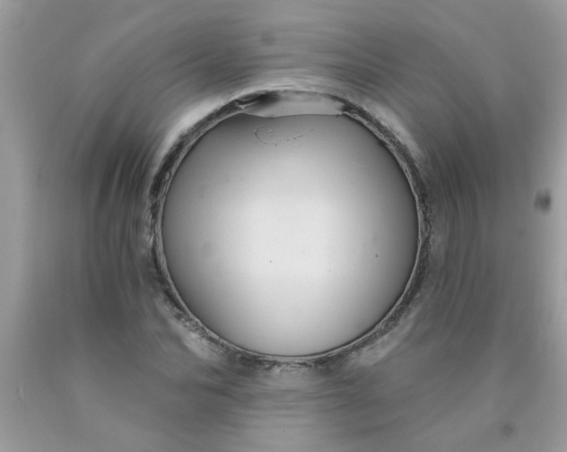 X0000090500974200707272358