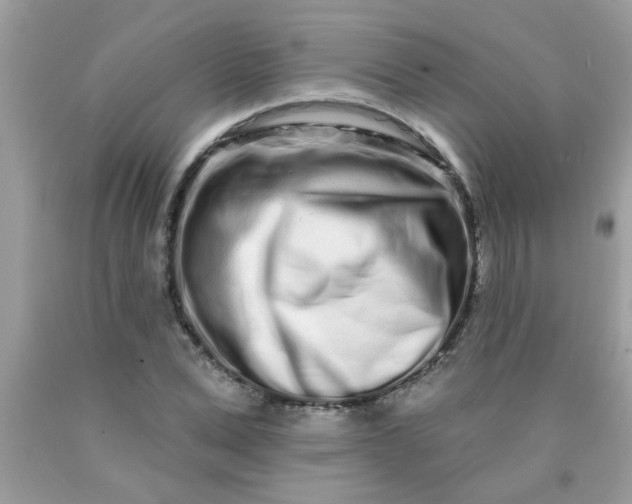 X0000090500975200707272358