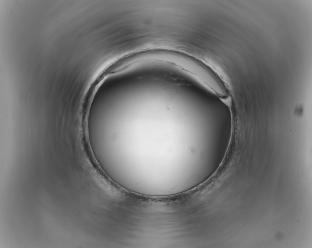 X0000090500976200707272358