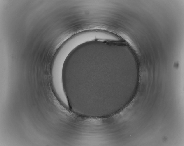 X0000090500977200707272358