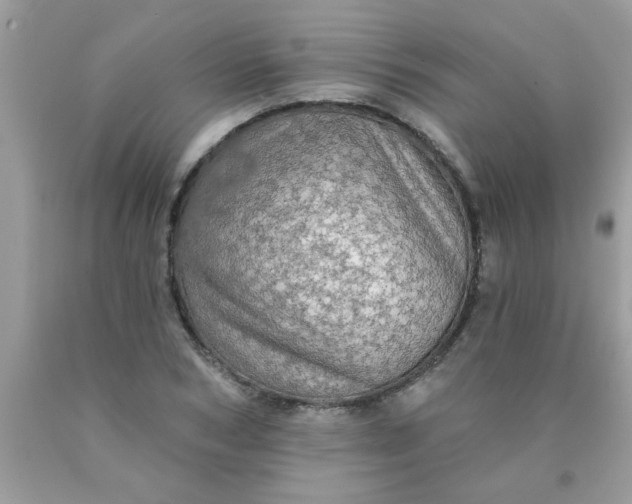 X0000090500978200707272358