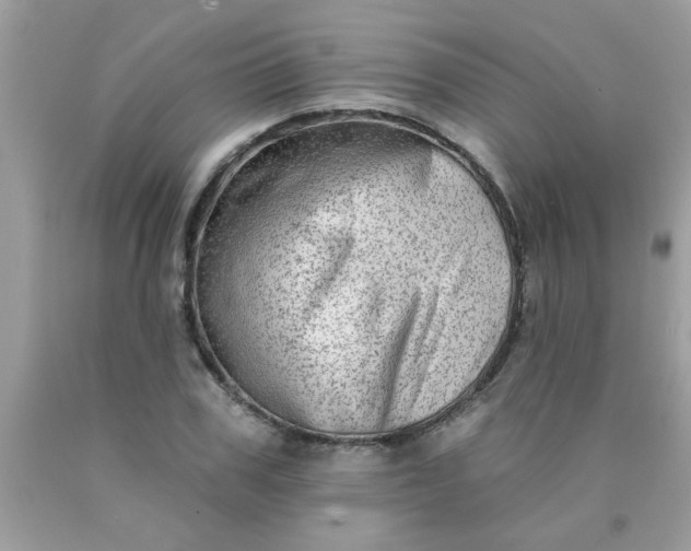 X0000090500979200707272358