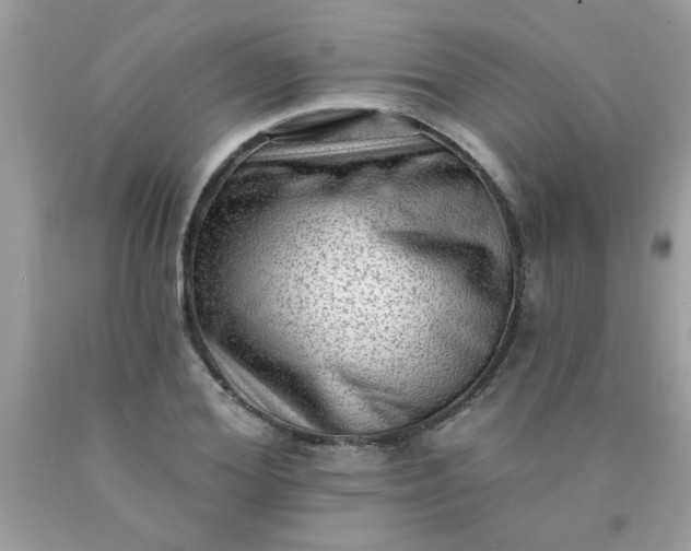 X0000090500980200707272358