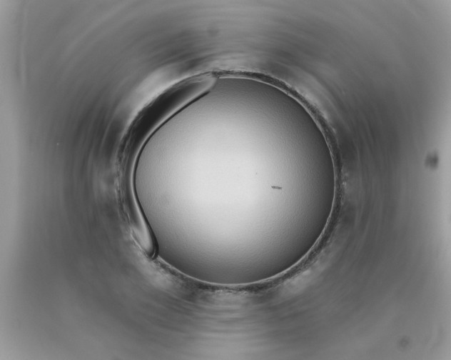 X0000090500981200707272358