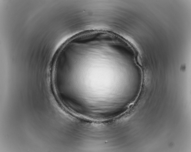 X0000090500983200707272358