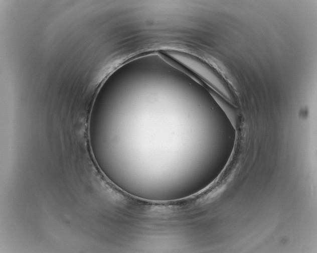 X0000090500985200707272358