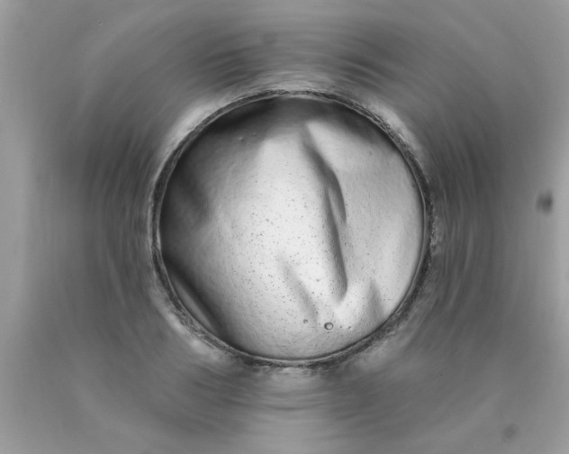 X0000090500986200707272358