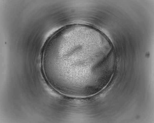 X0000090500987200707272358