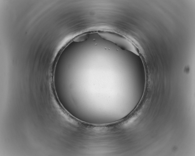 X0000090500989200707272358