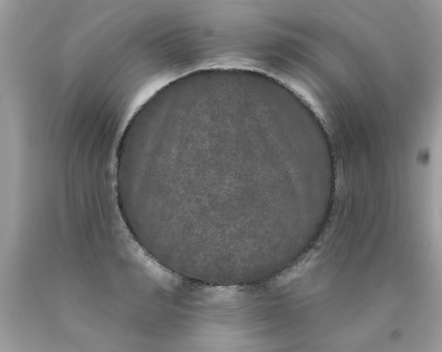 X0000090500990200707272358