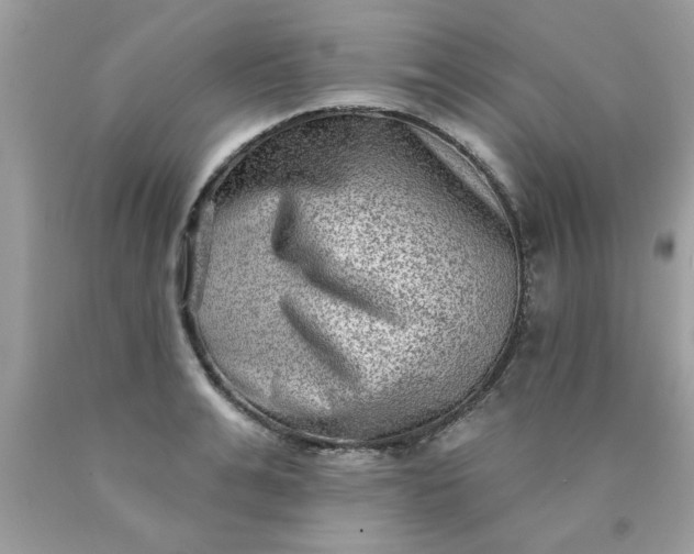 X0000090500991200707272358