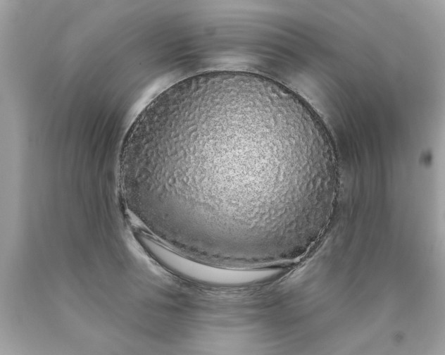 X0000090500994200707272358